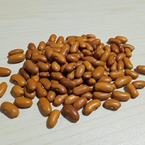 Más de 10 semillas de Rajma amarilla de Cachemira, Phaseolus vulgaris, frijoles amarillos, frijol del Himalaya imagen 5