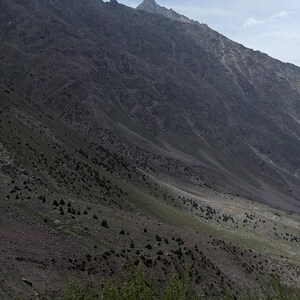 May include: A vast mountain landscape featuring steep, rocky slopes in shades of dark gray and brown. The terrain is sparsely covered with small, scattered evergreen trees and patches of green vegetation, leading up to a sharp, prominent mountain peak.