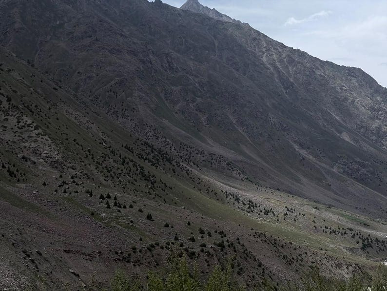 May include: A vast mountain landscape featuring steep, rocky slopes in shades of dark gray and brown. The terrain is sparsely covered with small, scattered evergreen trees and patches of green vegetation, leading up to a sharp, prominent mountain peak.