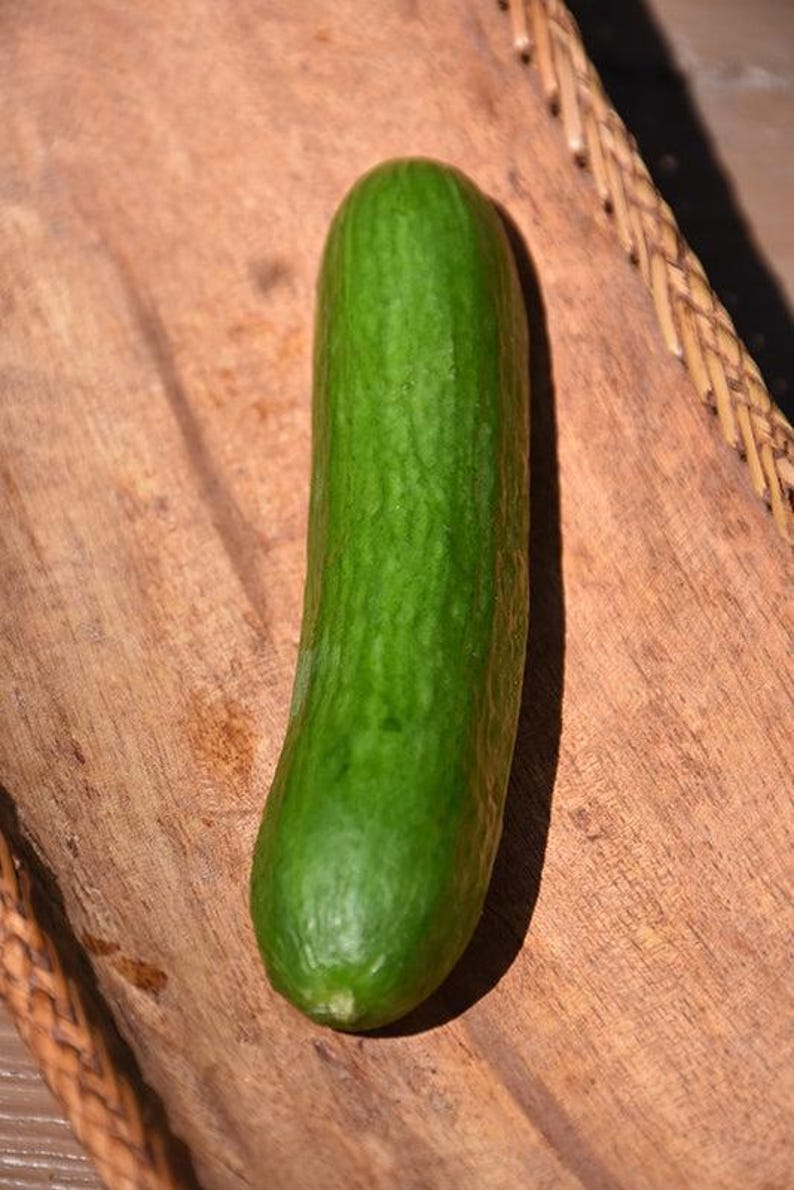 Puede incluir: Un pepino fresco de color verde vibrante con una piel ligeramente rugosa y texturizada. La verdura tiene forma cil&iacute;ndrica con extremos redondeados, mostrando variaciones naturales en su color verde oscuro y un acabado mate sutil.
