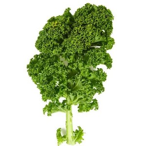 Pu&ograve; includere: Una singola foglia di cavolo riccio fresca con bordi profondamente arricciati di un verde vivace e un gambo centrale spesso di colore verde chiaro. La parte fogliare presenta una consistenza densa e increspata con varie tonalit&agrave; di verde.