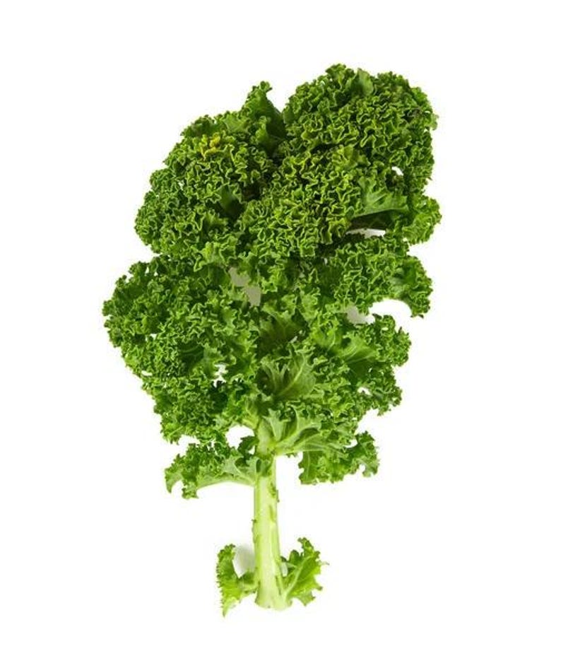 Pu&ograve; includere: Una singola foglia di cavolo riccio fresca con bordi profondamente arricciati di un verde vivace e un gambo centrale spesso di colore verde chiaro. La parte fogliare presenta una consistenza densa e increspata con varie tonalit&agrave; di verde.