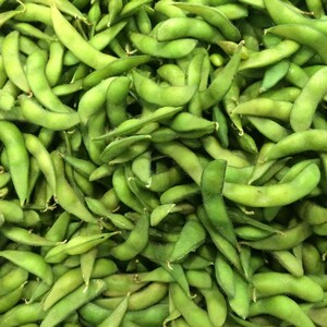 10-30 semillas de edamame, Glycine max, soja verde. imagen 6