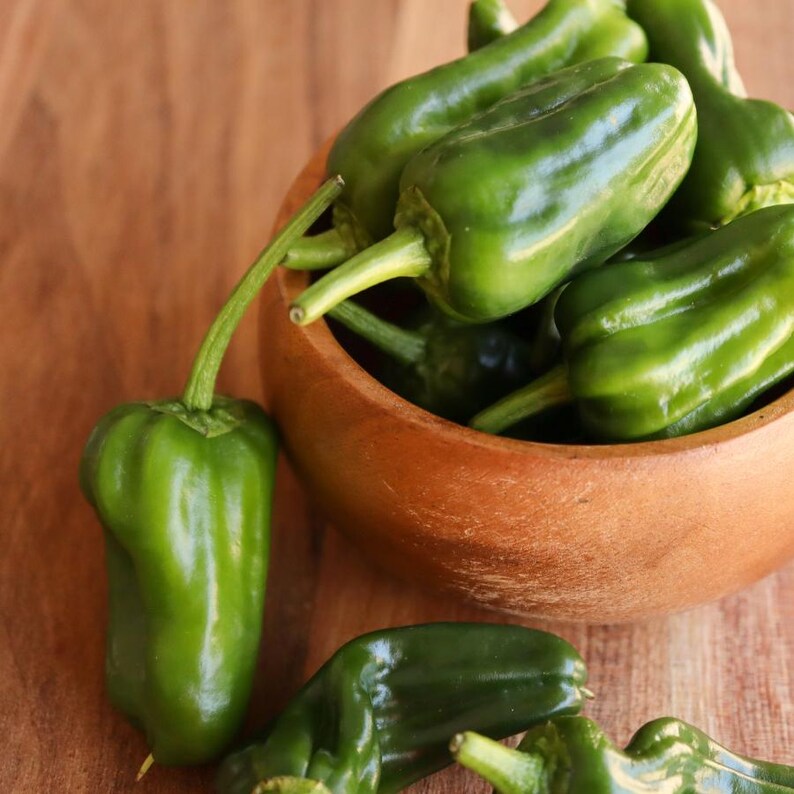 Más de 20 semillas de pimiento verde dulce, Capsicum annuum, pimiento verde, pimiento dulce suave. imagen 2