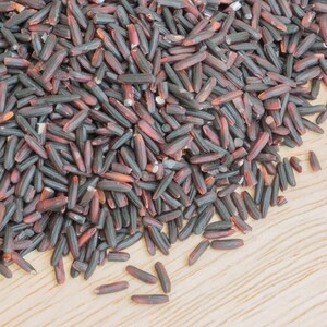 100-1000 risbärsfrön, Oryza sativa, vildt svart ris, lila korn, thairis bild 7