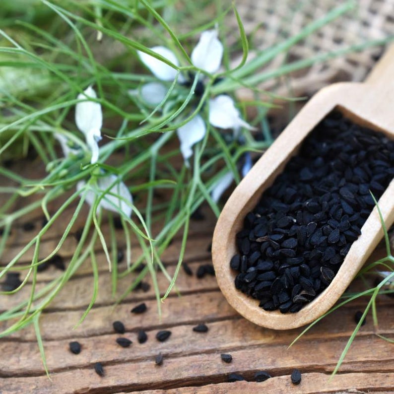 30-300 zwarte komijnzaadjes, Nigella sativa, Kalonji aromatisch kruid afbeelding 5