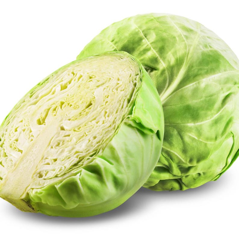 100+ Cabbage Express Seeds, Brassica oleracea, Crucifers image 8