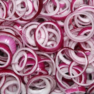 50+ Onion Pusa red Seeds, Red Onion, Onions & Alliums image 6