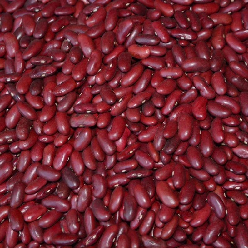 10-30 semillas de frijol rajma rojo, Phaseolus vulgaris, verdura de frijol. imagen 2