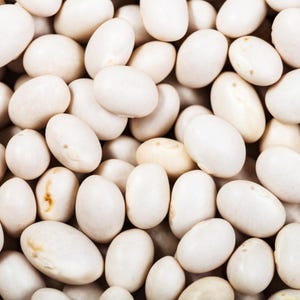 10-30 Sementes de Feijão Branco (Phaseolus vulgaris), Feijão Branco, Feijão Branco Pequeno imagem 3