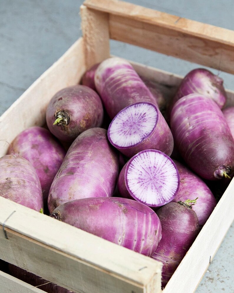 Puede incluir: Una colecci&oacute;n de r&aacute;banos daikon morados empacados dentro de una caja de madera clara. Varios r&aacute;banos est&aacute;n enteros con una piel morada vibrante y suave, mientras que dos est&aacute;n cortados transversalmente revelando un interior blanco con patrones radiales morados.