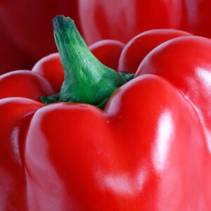 Puede incluir: Un pimiento rojo vibrante con una piel suave y brillante y una forma lobulada distintiva. Un peque&ntilde;o tallo verde texturizado est&aacute; unido a la parte superior central de la verdura, contrastando con el color rojo intenso de la carne redondeada.