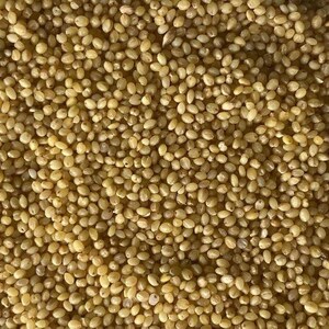 May include: A dense collection of small, round, golden-yellow millet grains. Each individual grain features a smooth, hard texture and a consistent light tan to yellow coloration, creating a uniform and tightly packed surface of raw cereal seeds.