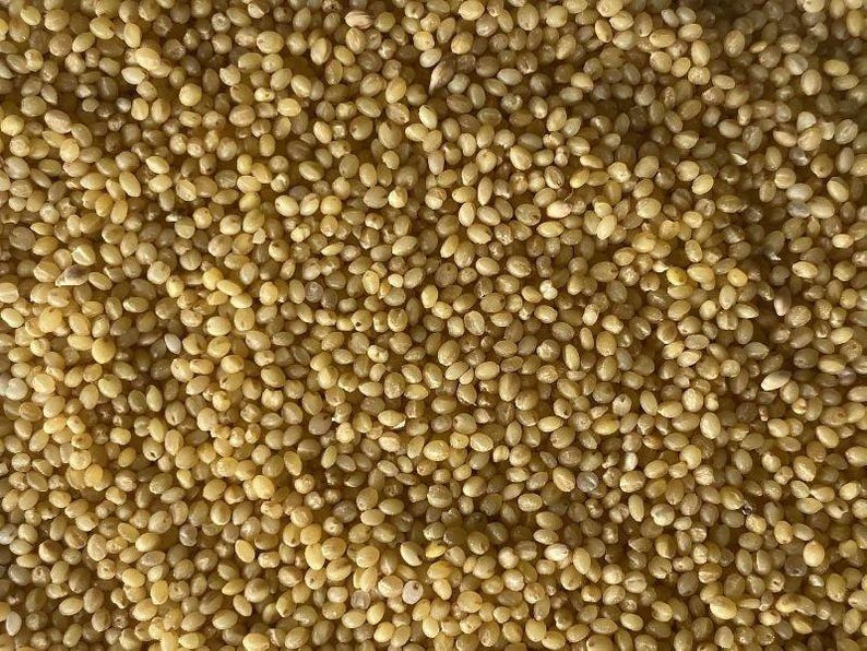 May include: A dense collection of small, round, golden-yellow millet grains. Each individual grain features a smooth, hard texture and a consistent light tan to yellow coloration, creating a uniform and tightly packed surface of raw cereal seeds.