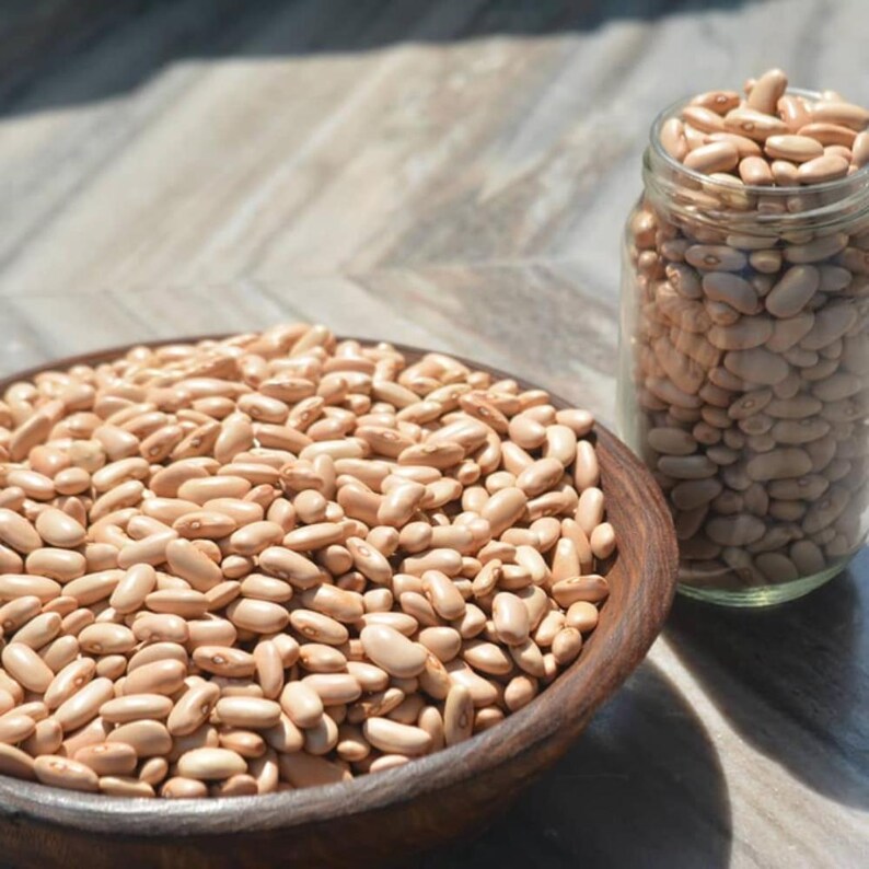 10-30 Himalaya Munsyari Rajma Samen, Phaseolus vulgaris, Weiße und gelbe Kidneybohnen Bild 1