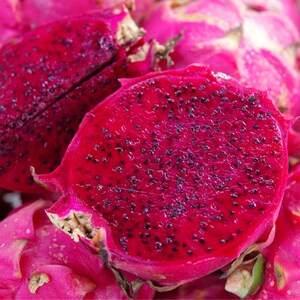 50-100 Red Dragon Fruit Seeds, Red Flesh Pitaya, Hylocereus polyrhizus, Exotic Tropical Cactus image 3