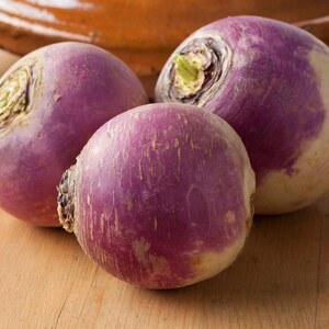 300+ Purple Top White Globe Turnip Seeds, Brassica rapa, White Root Vegetable image 10