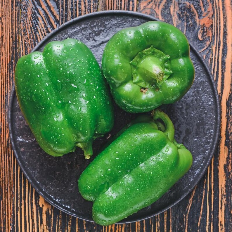 Más de 20 semillas de pimiento verde dulce, Capsicum annuum, pimiento verde, pimiento dulce suave. imagen 7