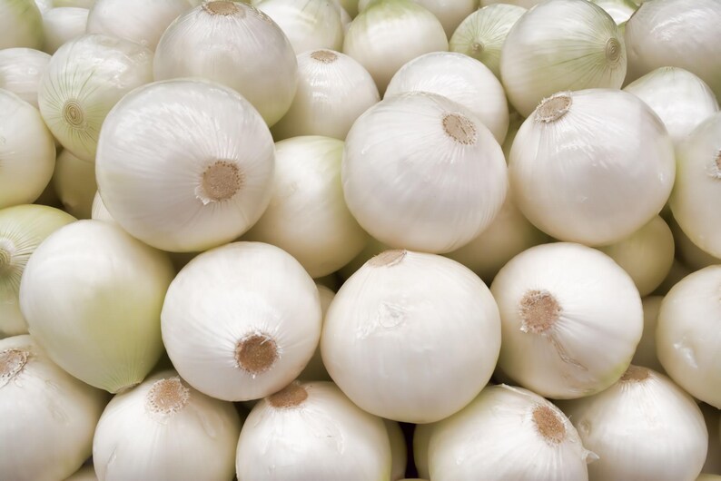May include: A large collection of fresh white onions piled together. Each onion features a smooth, papery white skin with a light sheen and a small, dried brown root end visible at the centre of the top of each individual round vegetable bulb.