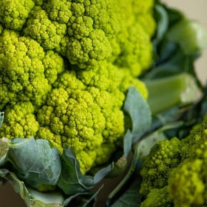K&ouml;nnte beinhalten: Ein leuchtend lindgr&uuml;ner Romanesco-Brokkoli mit einem ausgepr&auml;gten fraktalen, spiralf&ouml;rmigen geometrischen Muster auf seinen R&ouml;schen. Das Gem&uuml;se hat eine dichte, strukturierte Oberfl&auml;che mit dicken, dunkelgr&uuml;nen Bl&auml;ttern am Stielansatz.