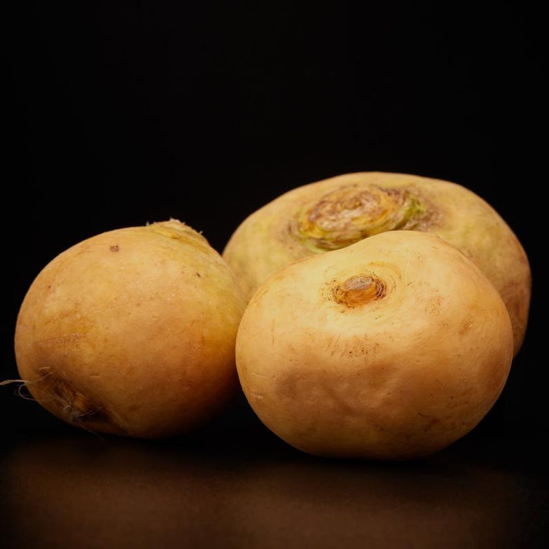 Über 100 Samen der Russischen Goldrübe (Brassica rapa, Petrovsky-Wurzelgemüse). Bild 10
