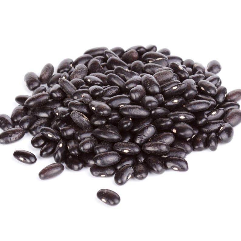 10+ semi di fagioli neri francesi Anupama, Phaseolus vulgaris, fagioli neri francesi, fagioli nani indiani immagine 3