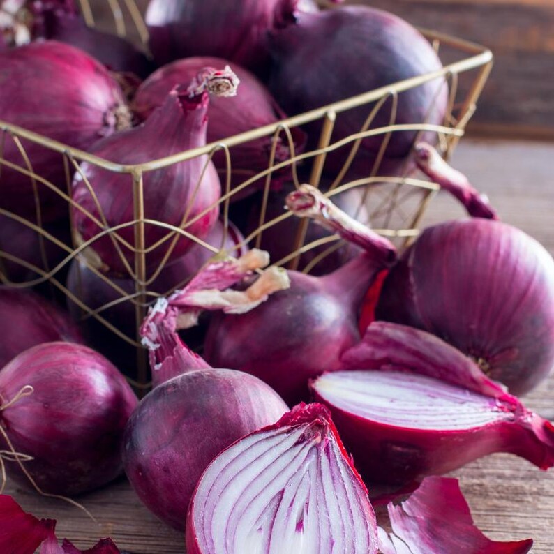 Oltre 50 semi di cipolla rossa selezionati, Allium cepa, cipolla a bulbo rosso, cipolla viola immagine 8