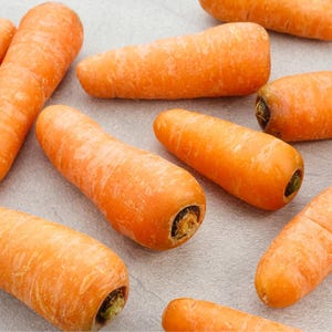 100+ morotsvitaminfrön, Daucus carota, apelsinrotgrönsak bild 2