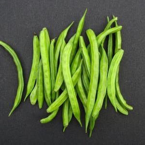 Más de 20 semillas de frijol racimo Neelam, Cyamopsis tetragonoloba, guar imagen 6