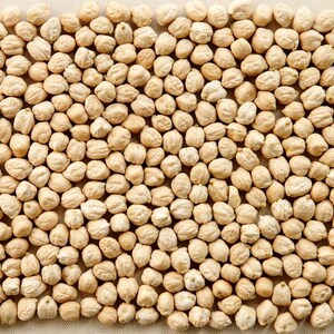 白ひよこ豆の種子、Cicer arietinum、Kabuli Chana Vegetable 25-100 画像 3