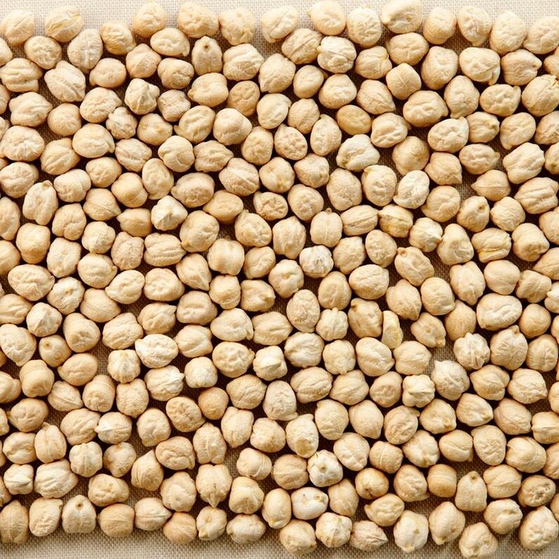 白ひよこ豆の種子、Cicer arietinum、Kabuli Chana Vegetable 25-100 画像 3