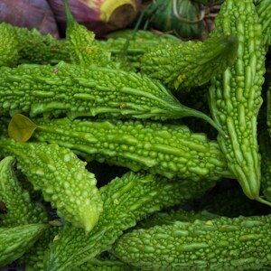 20-50 Sementes de melão-de-são-caetano pequeno (Karela, Momordica charantia), abóboras, cabaças e melões. imagem 10
