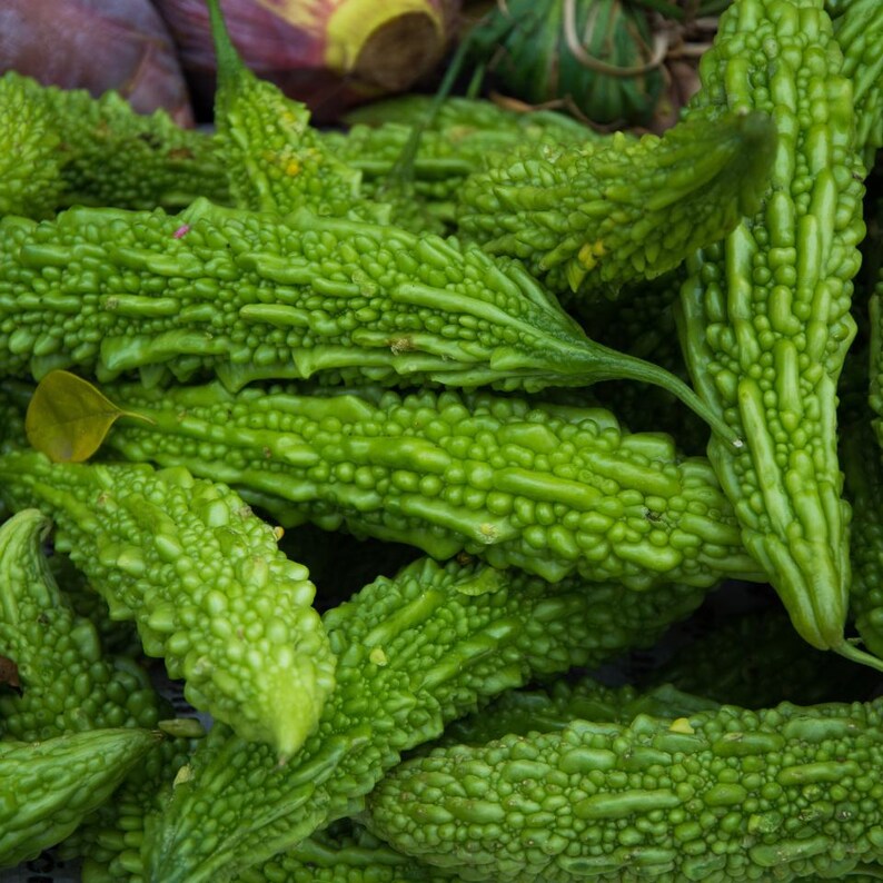 20-50 Sementes de melão-de-são-caetano pequeno (Karela, Momordica charantia), abóboras, cabaças e melões. imagem 10