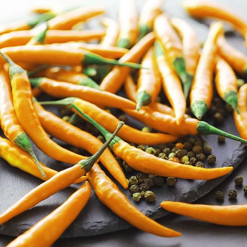 50+ Yellow chili pepper Seeds, Capsicum frutescens, Peppers image 2