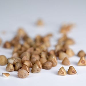 May include: A scattered pile of raw buckwheat groats, each featuring a distinct triangular shape with a light brown, tan, and beige color palette. The individual grains have a hard, hull-less texture and a small, darker center point on their flat faces.