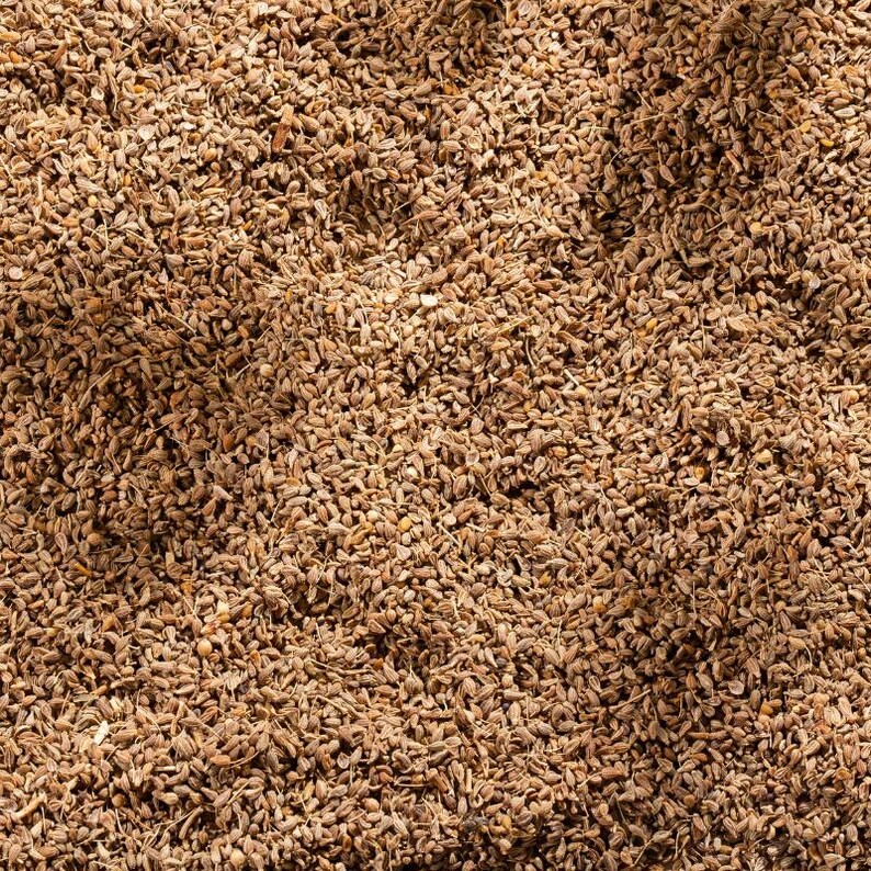 Über 100 Anissamen (Pimpinella anisum), Aniskraut, süßes Lakritzgewürz Bild 2