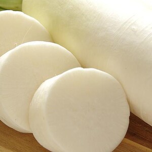 Op de afbeelding: Een lange, cilindervormige witte daikon-radijs met een gladde, stevige schil. De groente is gedeeltelijk in verschillende dikke, gelijkmatige, ronde schijven gesneden, wat een solide, ondoorzichtige witte binnenkant laat zien.