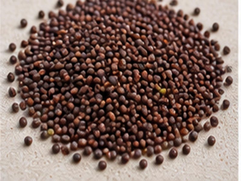 Puede incluir: Un mont&oacute;n denso y circular de peque&ntilde;as semillas de mostaza redondas de color marr&oacute;n oscuro. Las semillas tienen una superficie mate y texturizada con tonos variados de marr&oacute;n profundo y toques ocasionales de color tostado o amarillo.
