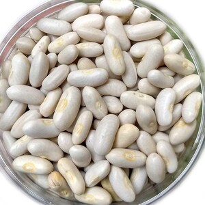 Pu&ograve; includere: Una ciotola di vetro trasparente riempita con una grande quantit&agrave; di fagioli bianchi secchi. Ogni fagiolo ha una forma ovale con una superficie liscia e opaca e una piccola macchia distinta di colore giallastro vicino al centro della curva.