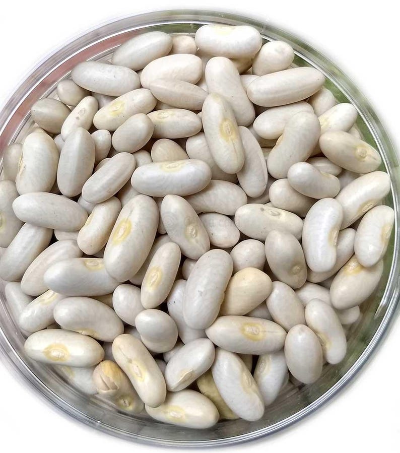 Pu&ograve; includere: Una ciotola di vetro trasparente riempita con una grande quantit&agrave; di fagioli bianchi secchi. Ogni fagiolo ha una forma ovale con una superficie liscia e opaca e una piccola macchia distinta di colore giallastro vicino al centro della curva.