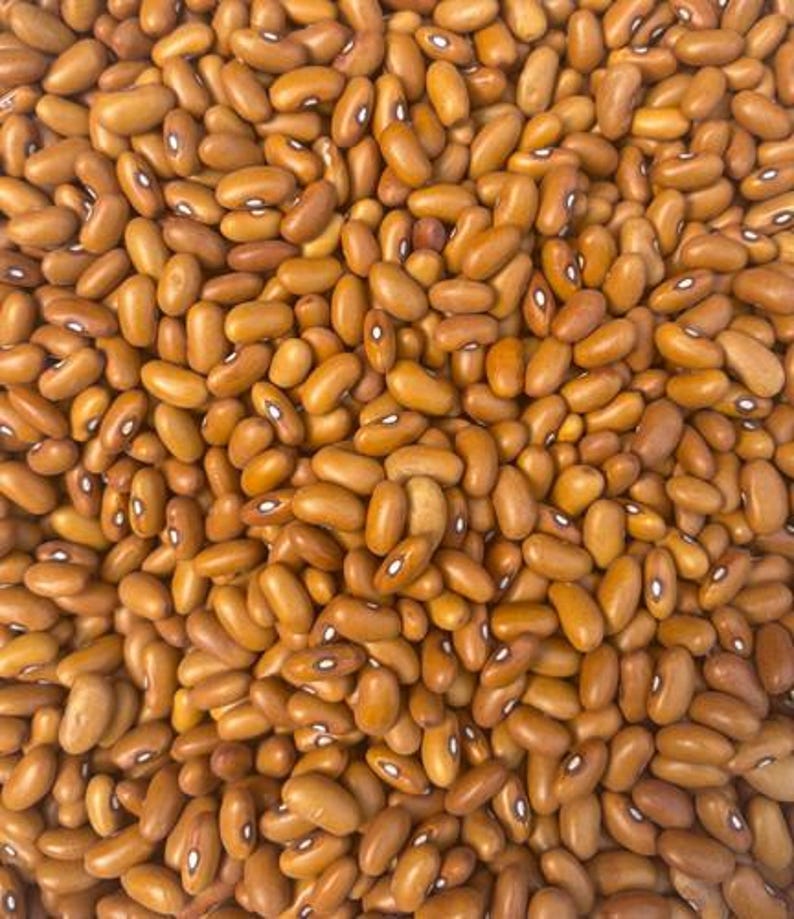 Puede incluir: Una gran colecci&oacute;n de frijoles secos de color marr&oacute;n claro, cada uno con una superficie lisa de forma ovalada y un peque&ntilde;o ojo o hilio blanco distintivo ubicado en la curva interior del frijol. Los frijoles est&aacute;n densamente agrupados.