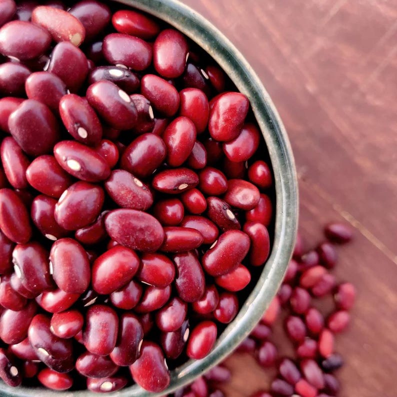 10-30 Jammu Rajma Bean Seeds, Phaseolus vulgaris, Bhaderwah Rajma, Himalayan Kidney Beans image 11
