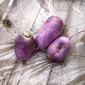 Puede incluir: Tres r&aacute;banos morados con formas lisas, cil&iacute;ndricas y redondeadas. La piel de cada vegetal es de un tono violeta intenso con sutiles estr&iacute;as horizontales y peque&ntilde;as puntas de ra&iacute;z. Un r&aacute;bano presenta un resto de tallo verde en la parte superior.
