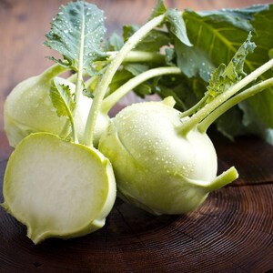 コールラビ（Brassica oleracea、ドイツカブ、根菜）の種100粒以上 画像 9