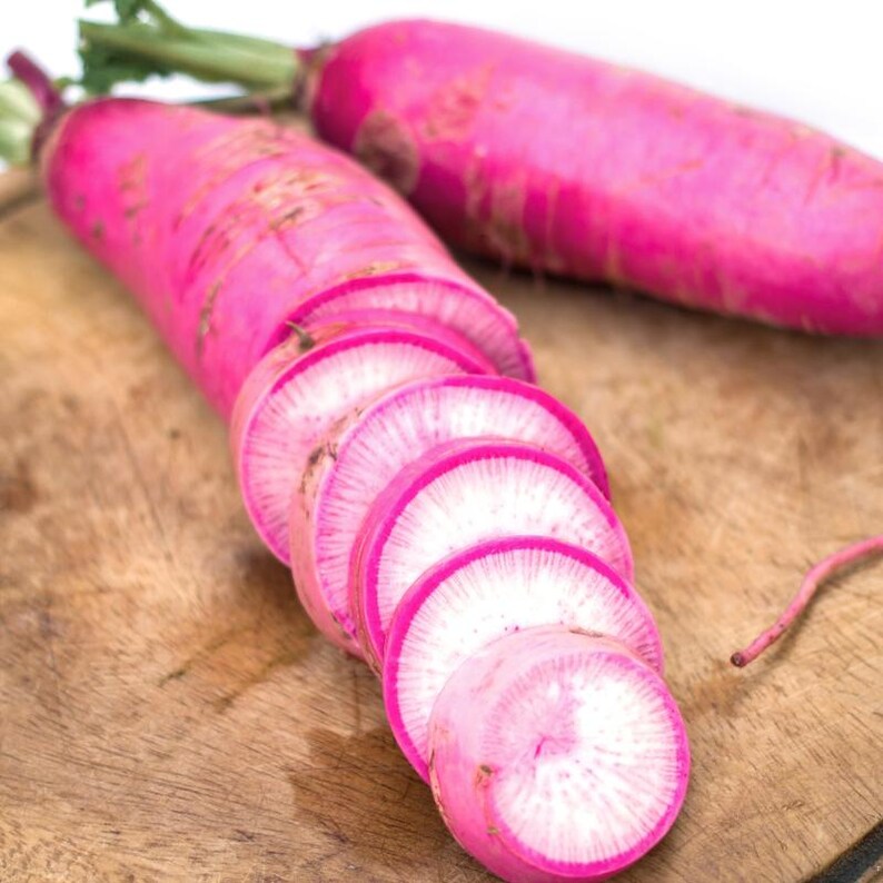 K&ouml;nnte beinhalten: Zwei leuchtend magentafarbene Radieschen mit gr&uuml;nen Blattspitzen. Ein ganzes Radieschen liegt horizontal, w&auml;hrend das andere in mehrere kreisf&ouml;rmige Scheiben geschnitten ist, die ein leuchtend wei&szlig;es Inneres mit magentafarbenem Rand zeigen.