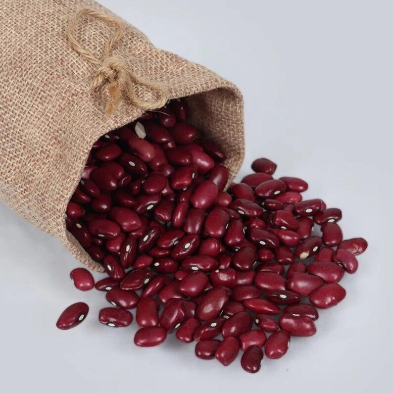 10-30 Jammu Rajma Bean Seeds, Phaseolus vulgaris, Bhaderwah Rajma, Himalayan Kidney Beans image 7