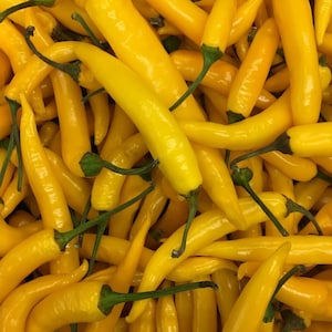 50+ Yellow chili pepper Seeds, Capsicum frutescens, Peppers image 1