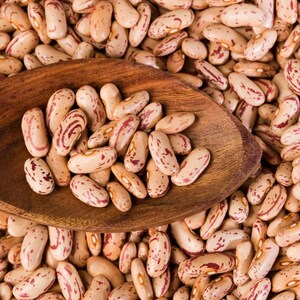 10-30 semillas de frijol pinto, Phaseolus vulgaris, frijol Chitra Rajma imagen 10