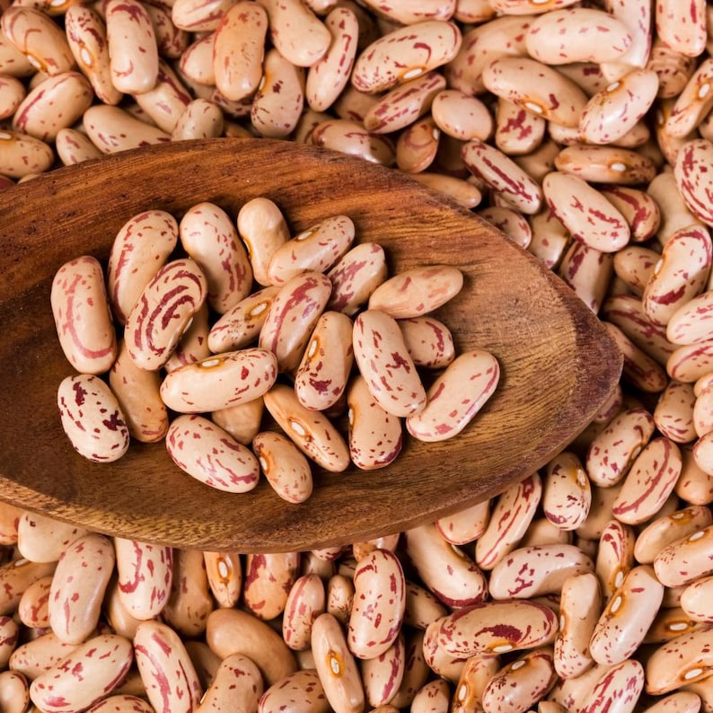 10-30 semillas de frijol pinto, Phaseolus vulgaris, frijol Chitra Rajma imagen 10