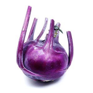 Op de afbeelding: Een hele paarse koolrabi met een ronde, bolvormige basis en verschillende lange, dikke, rechtopstaande stengels die uit de bovenkant steken. De schil van de groente heeft een diepe, levendige magenta-paarse kleur met een gladde textuur.